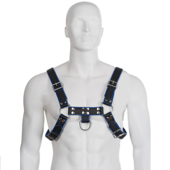 LEATHER BODY - HARNAIS EN...
