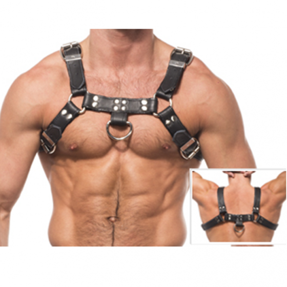 LEATHER BODY - HARNAIS...