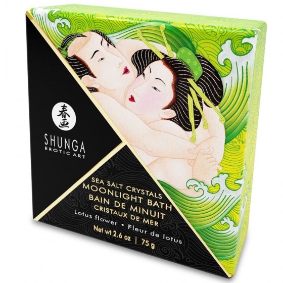 SHUNGA - BAIN OU SELS...